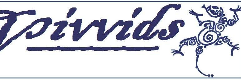 VivvidsCom's profile banner image