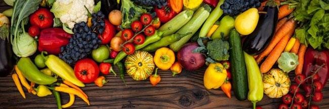 NE Vegan Group banner