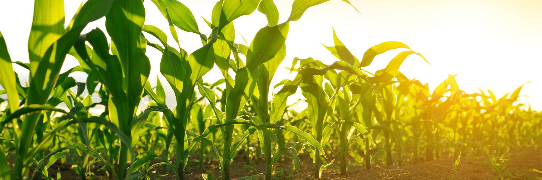 Premier Crop Systems banner