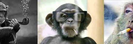 HomeGrown Algo banner