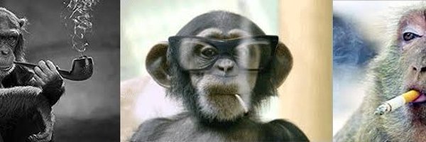 KiteGradient Profile Banner