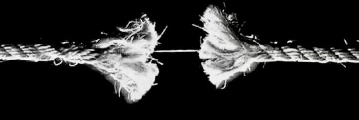 Maysa banner