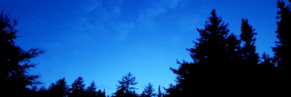 Lisa B banner