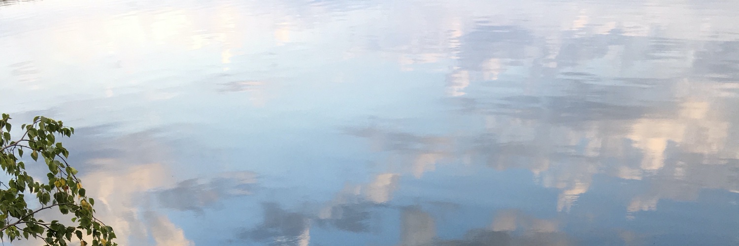 lisakirsebom's profile banner image