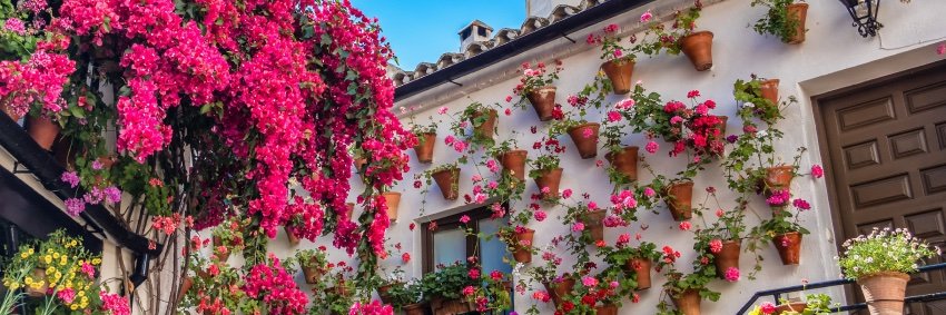スペイン政府観光局's banner