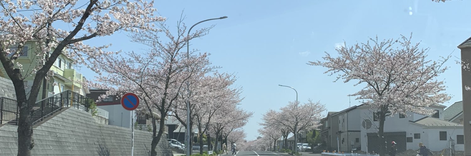 sk8mintare's profile banner image