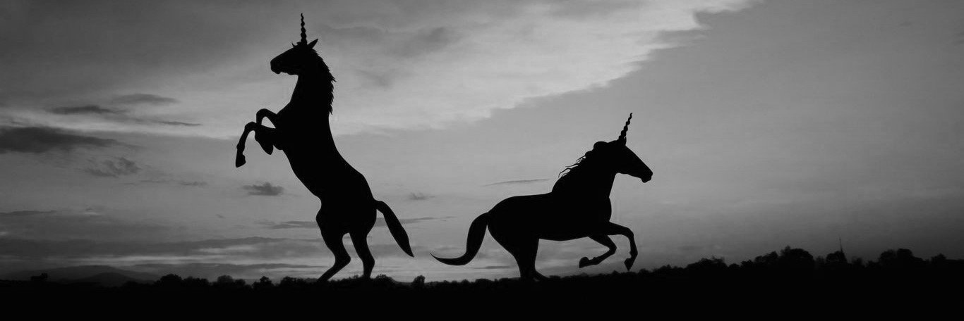 KatiSal's profile banner image