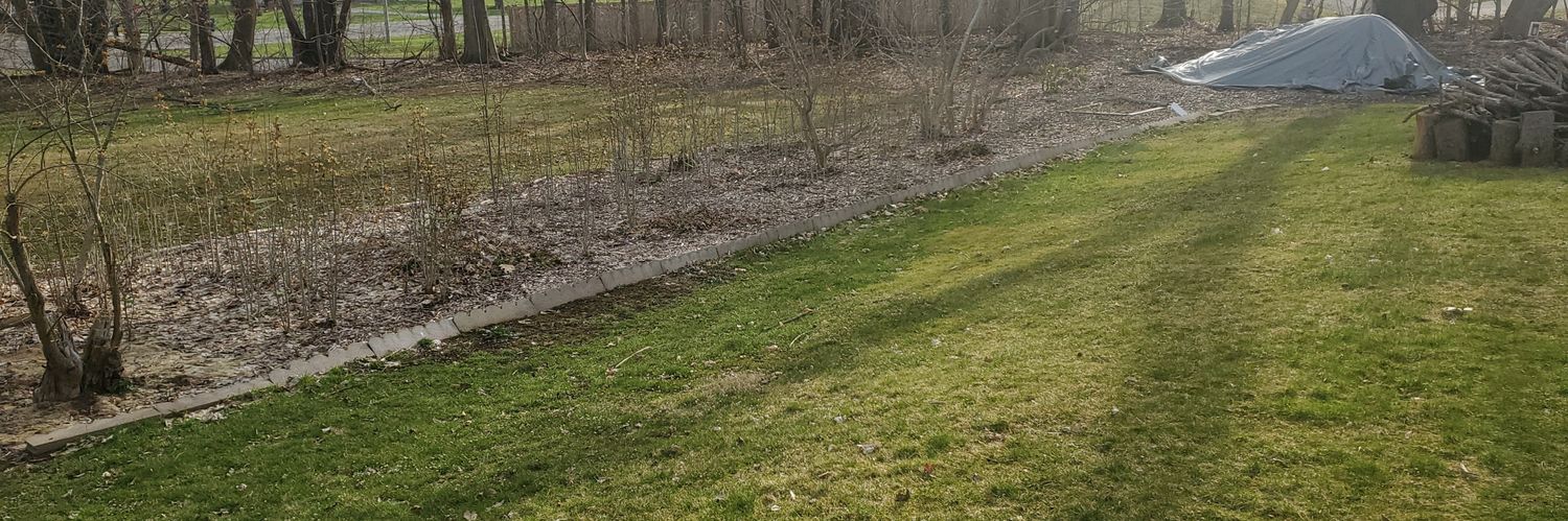 TabCox's profile banner image