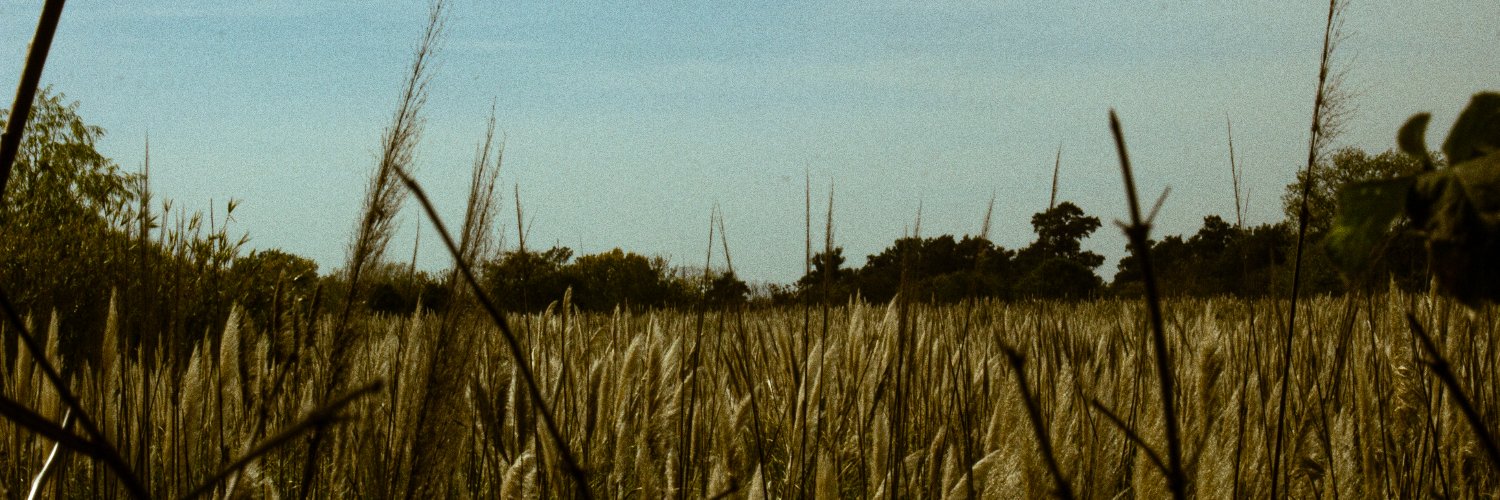 MelnikAnalia's profile banner image