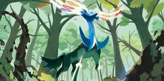 yumamuru's profile banner image