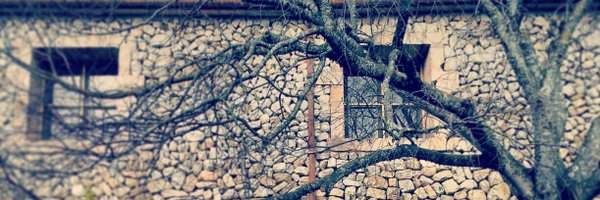 antonirubi Profile Banner