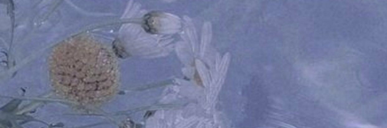 getlewski's profile banner image