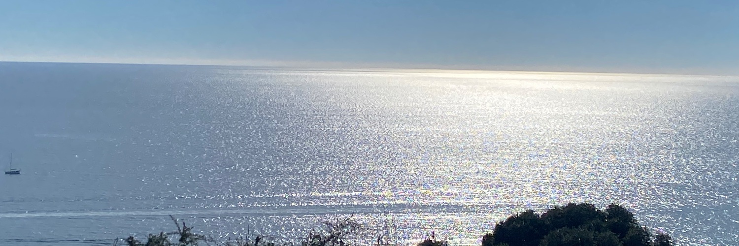 LManzanequ's profile banner image