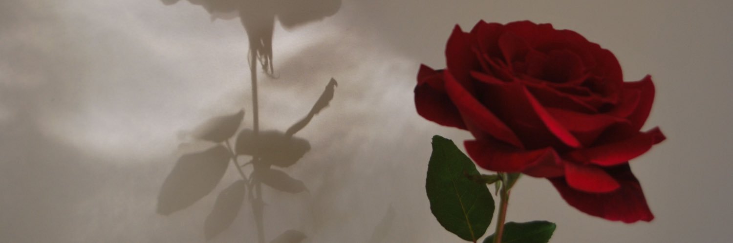 maacieee's profile banner image