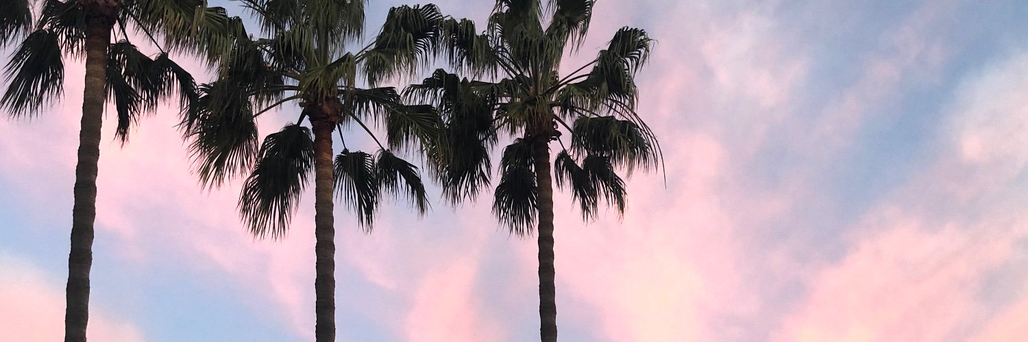 lyntease's profile banner image