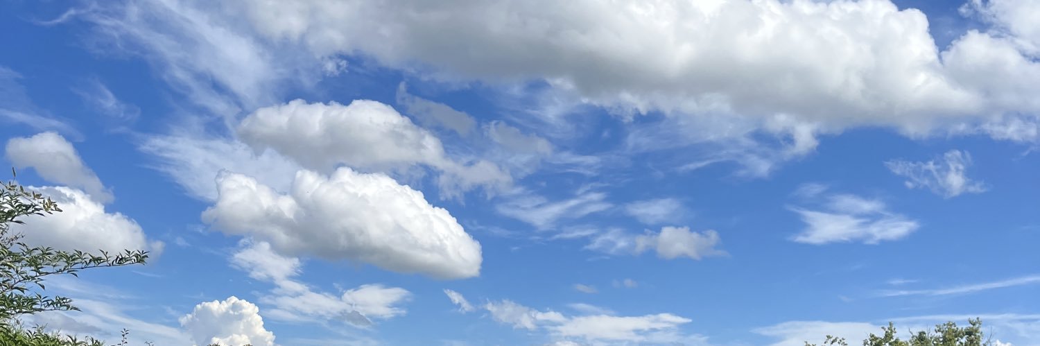 noemiebfl's profile banner image