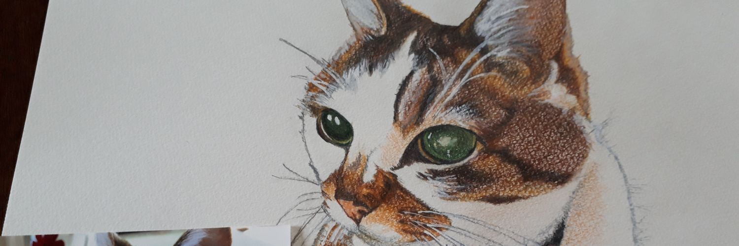 rotta25's profile banner image