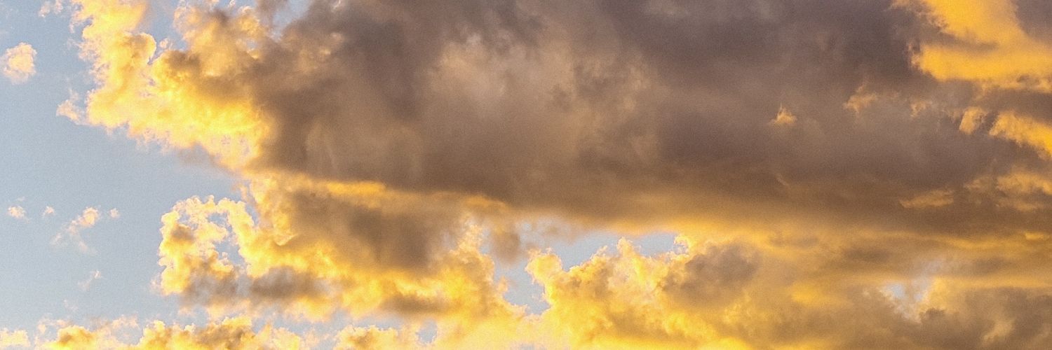 oLeitex's profile banner image