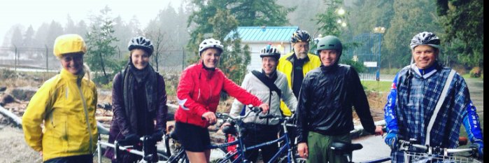 Reckless Bikes banner