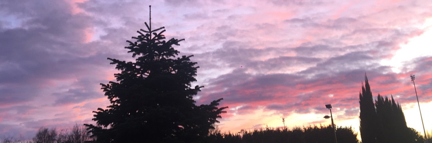 loriane_sn's profile banner image