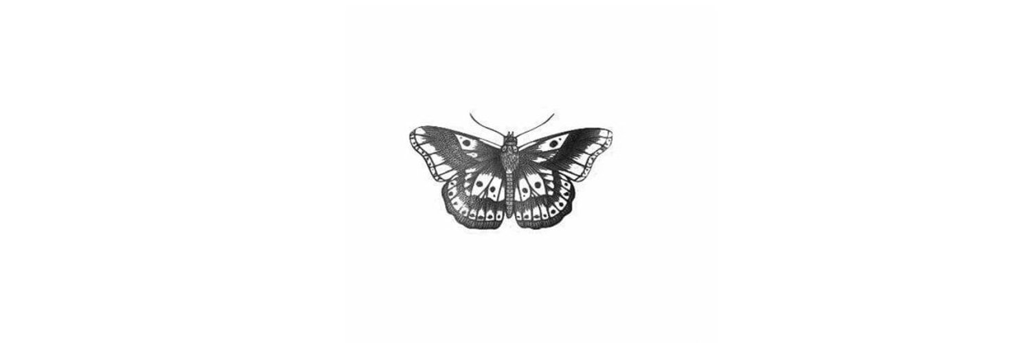 sweetbeaax's profile banner image