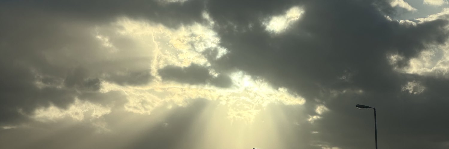 Tofynha's profile banner image