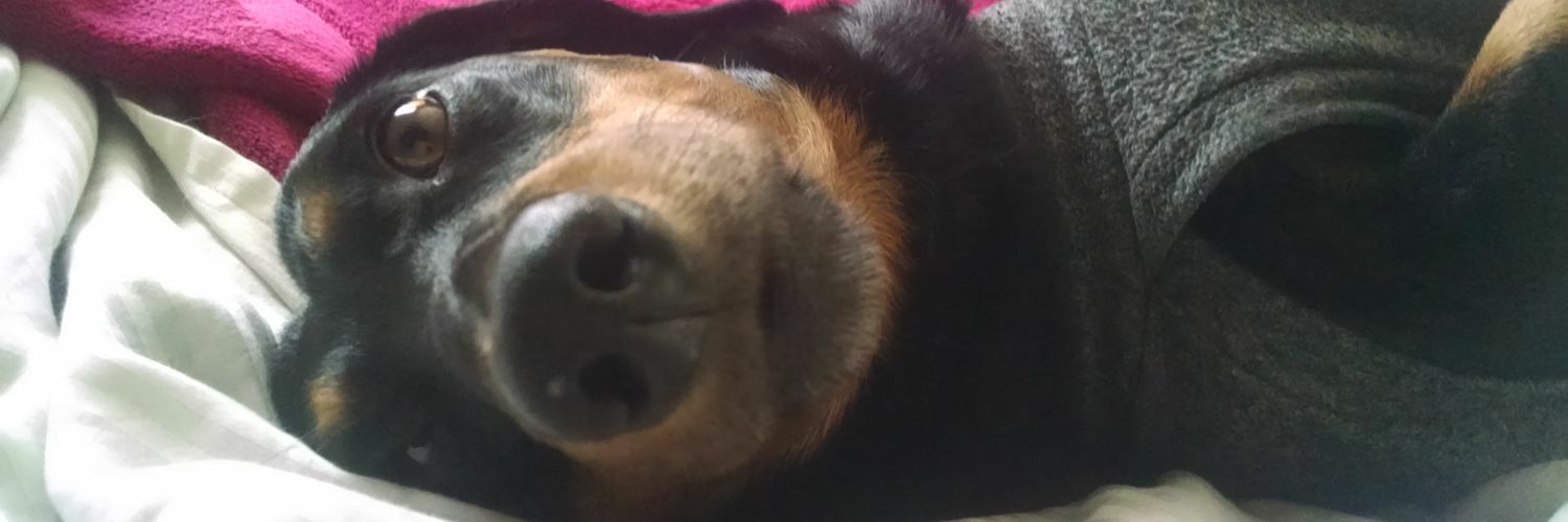 EALRToni's profile banner image