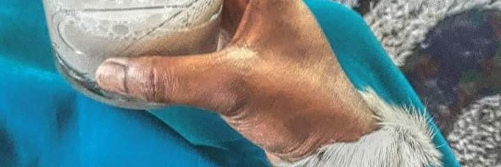That Zulu Nqothovu🇿🇦🇿🇦 banner