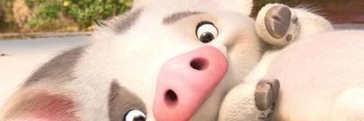 kim_tatis's profile banner image