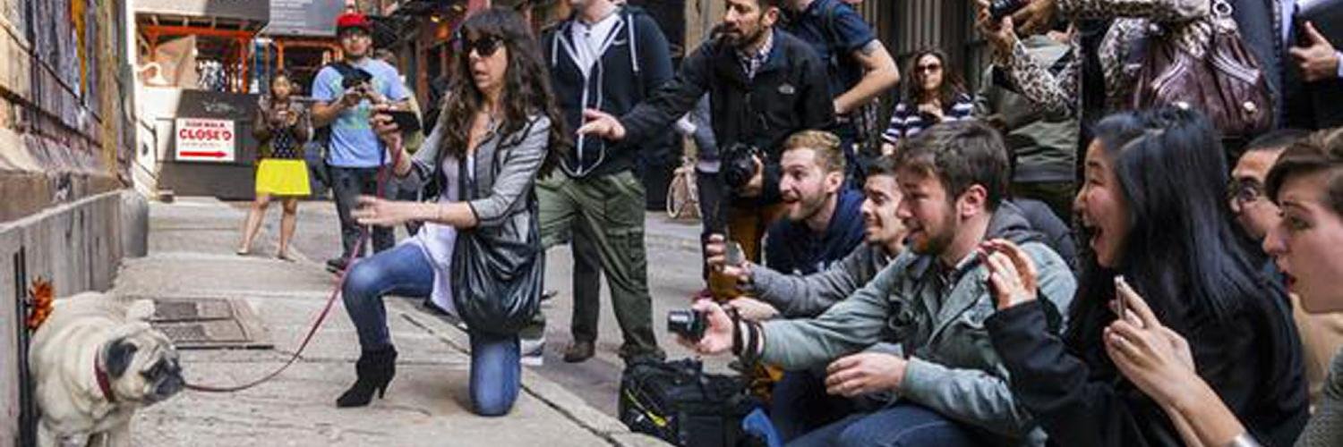 contentmarc's profile banner image