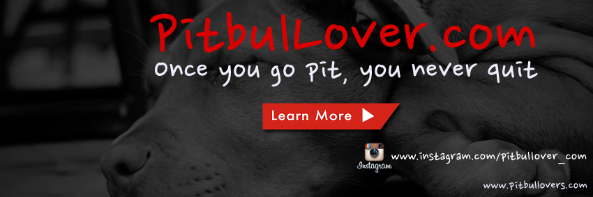 I Love Pitbulls banner