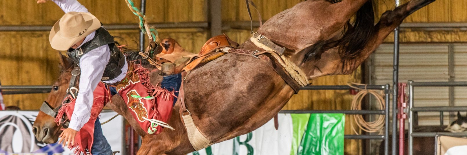 Avid Visual Imagery banner