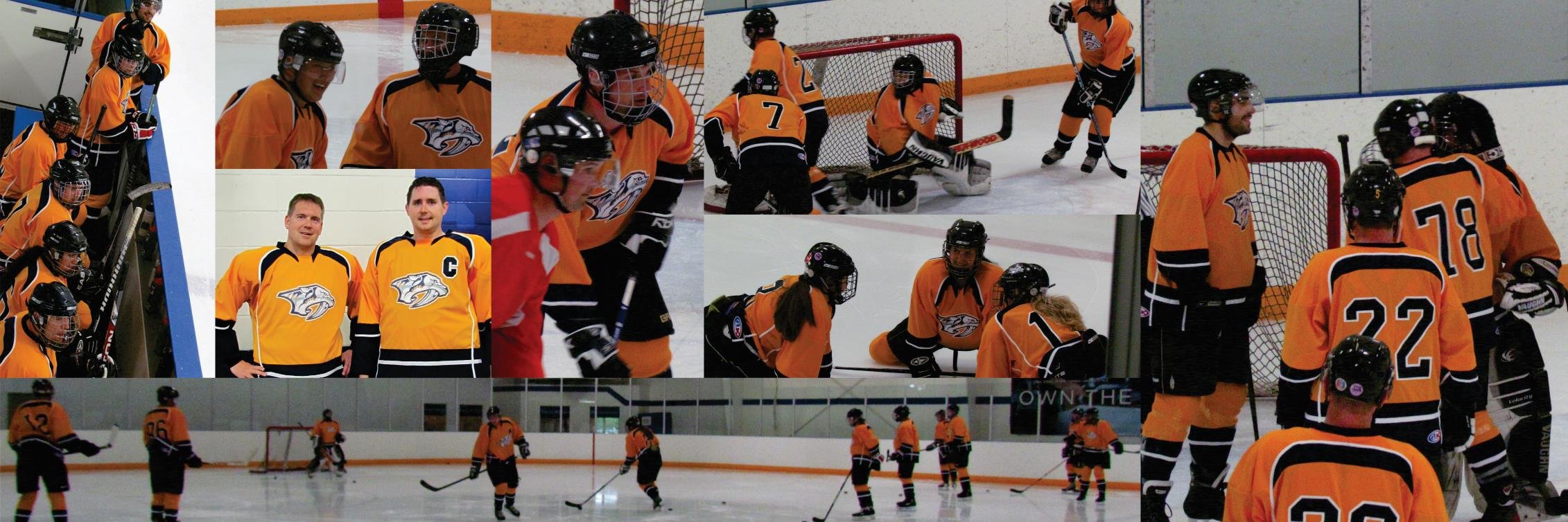 ASHLPredators's profile banner image