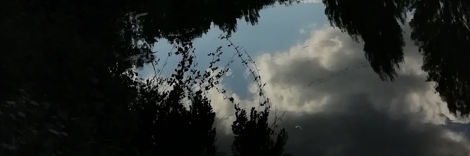 Fralsey42's profile banner image