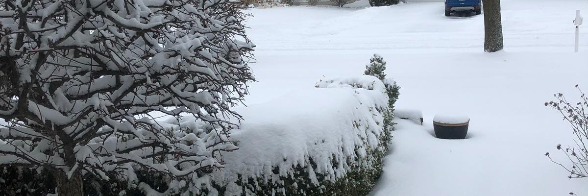 drs2010's profile banner image