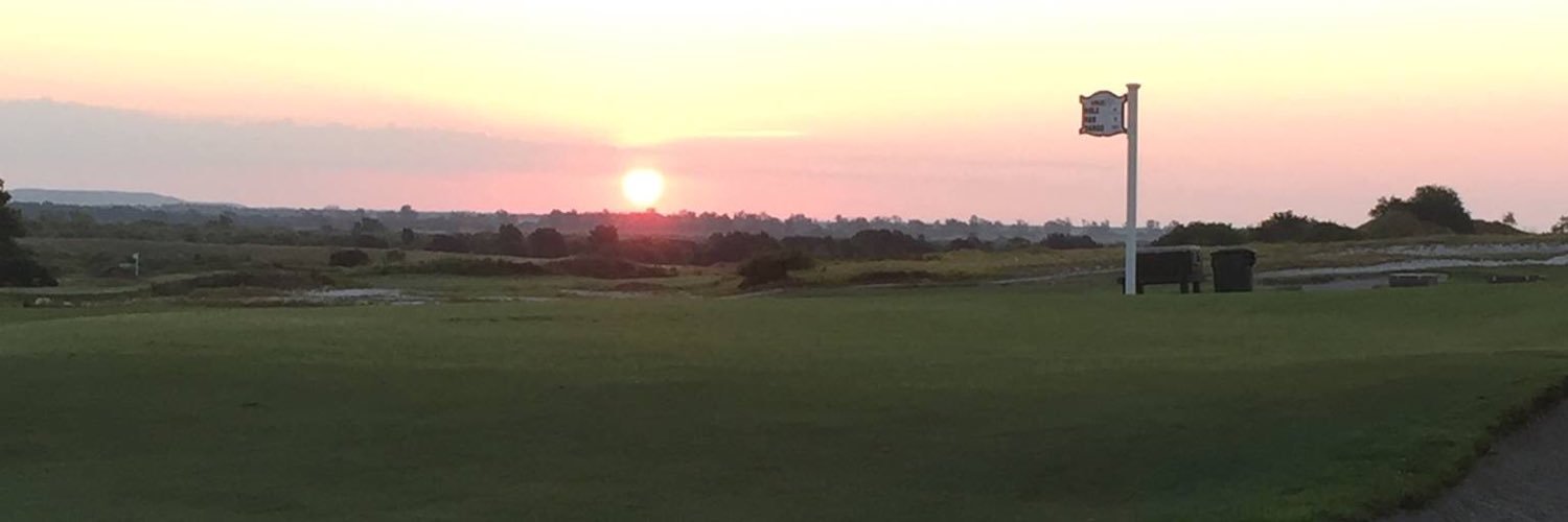 Todd Lowe's banner