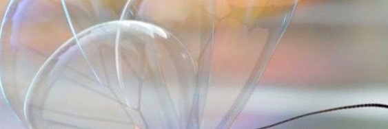 PacoReschapeau's profile banner image
