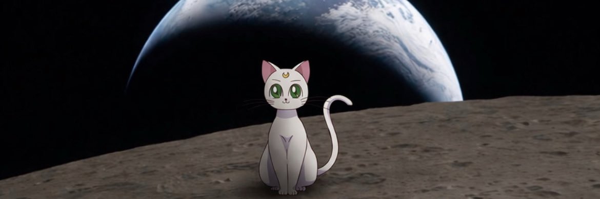 soodiane_'s profile banner image