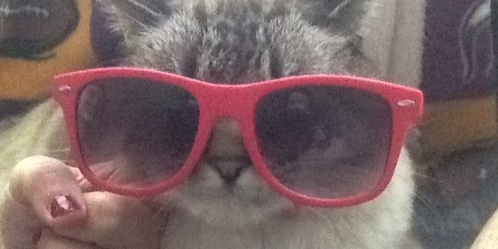 linkeydacat's profile banner image