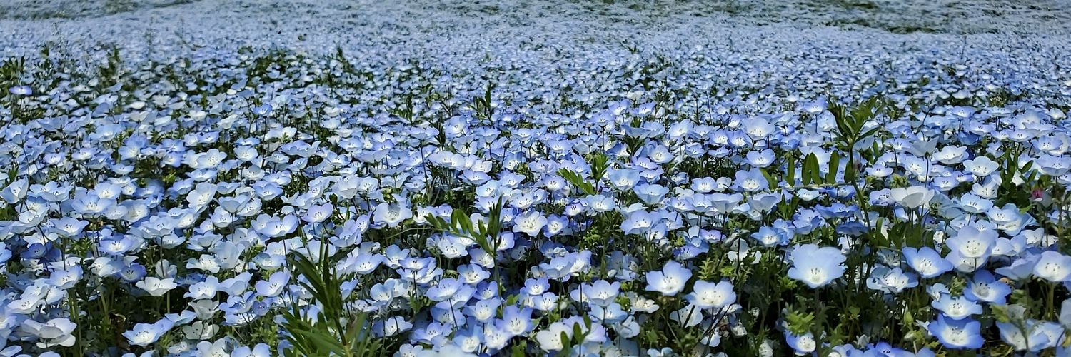 ロッド 14幕張 22堀切 29? 4月 3 4 5a! banner