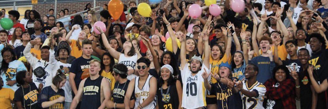 W̶h̶e̶e̶l̶e̶r̶ Wildcats banner