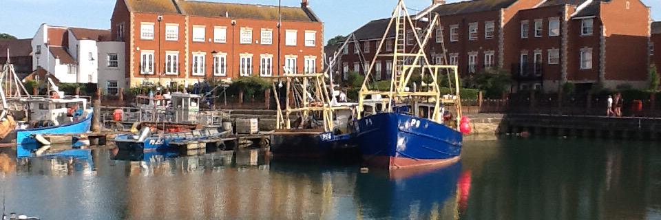 David Bowskill banner