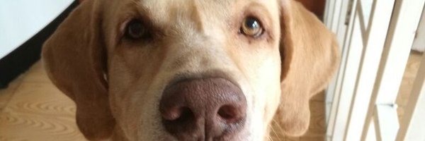CcCesarzz360 Profile Banner