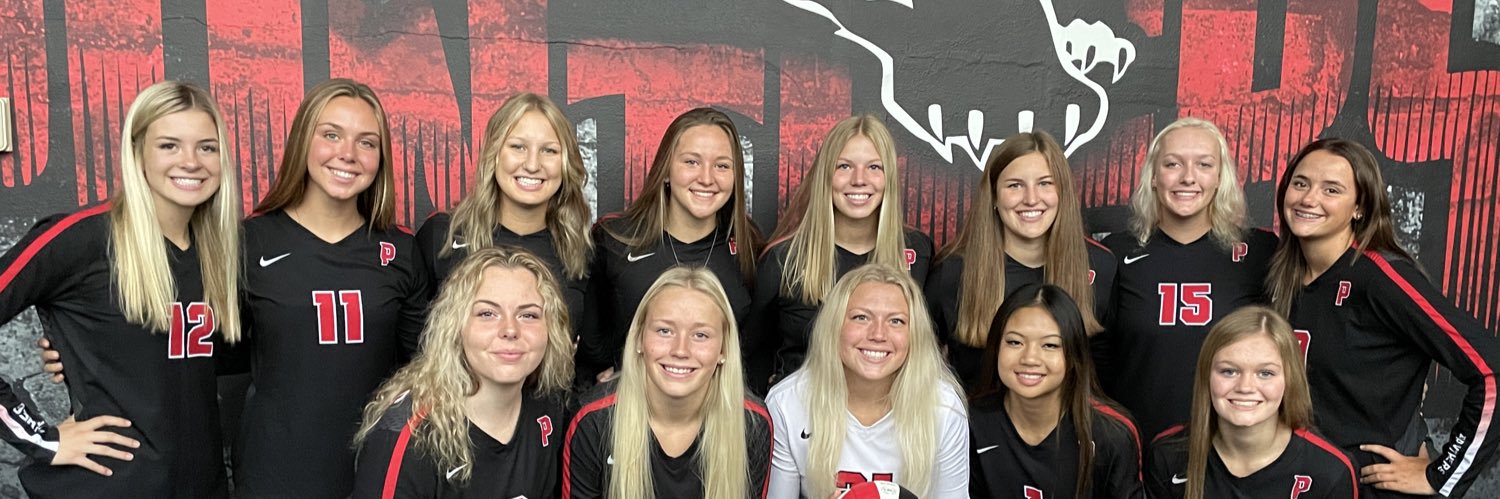 Panther VB banner