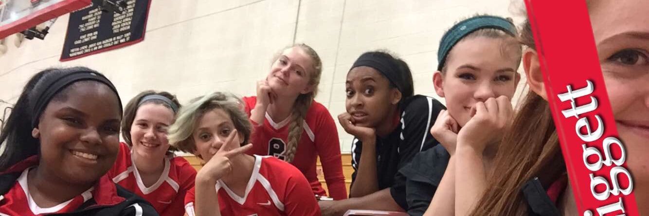 Roeper Volleyball banner