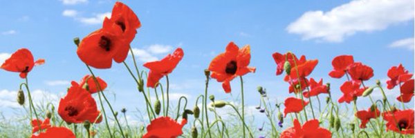 RebeccaWUvell Profile Banner