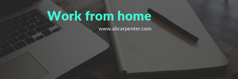 AliLCarpenter's profile banner image