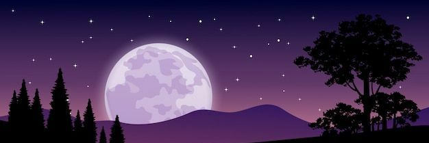 StuartDubstep's profile banner image