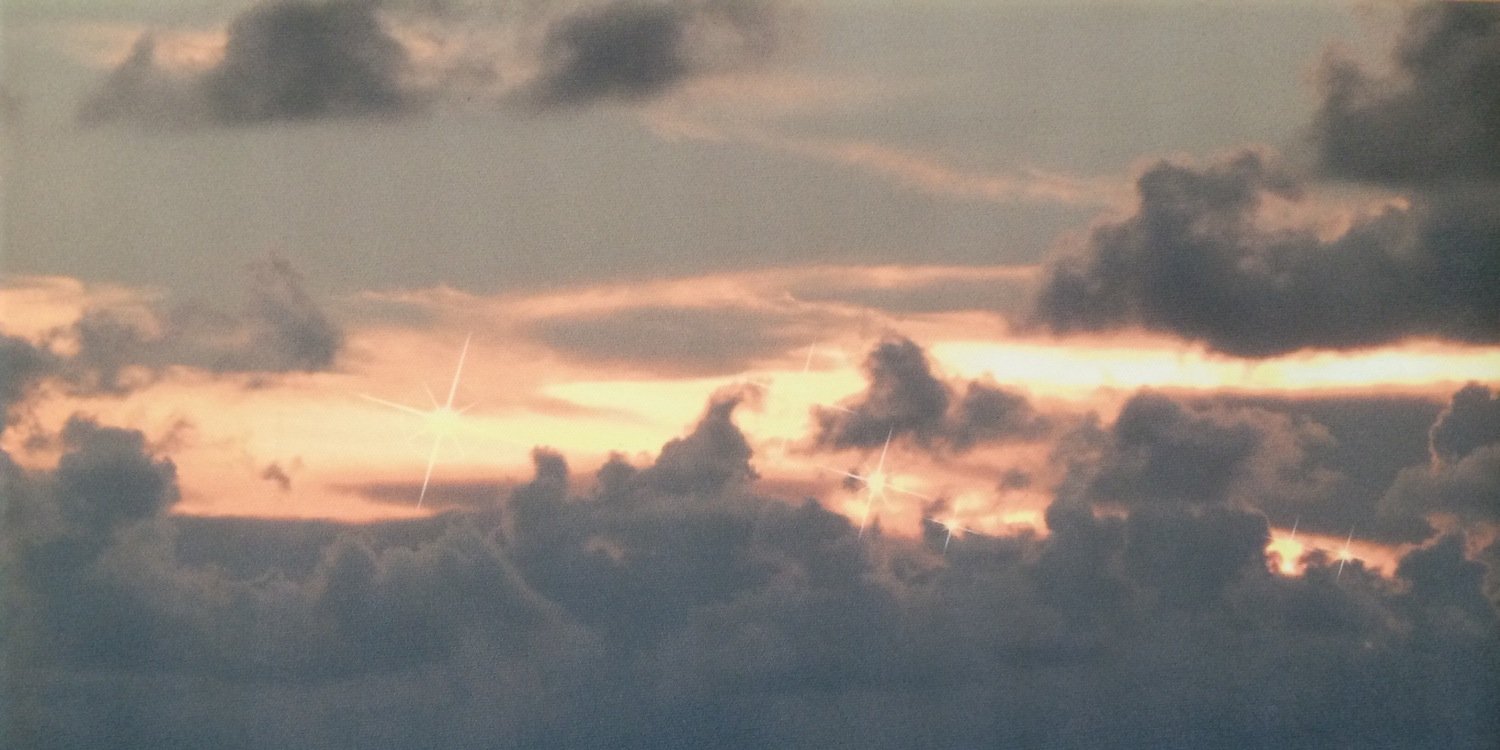 Gemma Catchpole banner