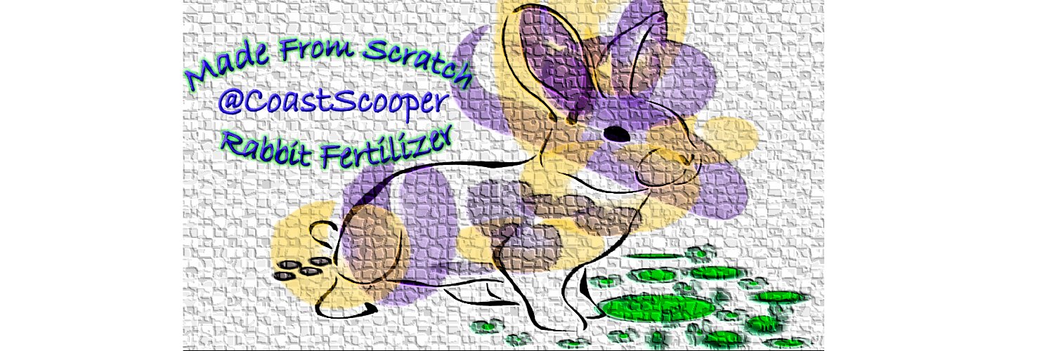 MadeFromScratch Rabbit (@CoastScooper) / Posts / X